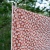 Belle Amie, metervara, terrakotta, 150cm