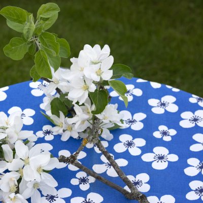 Belle Amie, blå vaxduk