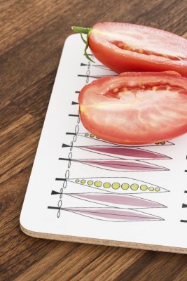 Picknick, uppläggningsbräda, blårosa, 30x20cm