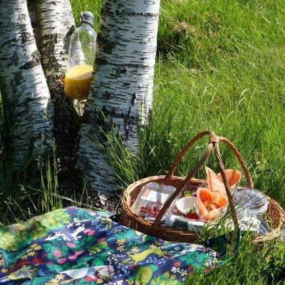 100590-0580Jakten, metervara, blå, 150cm