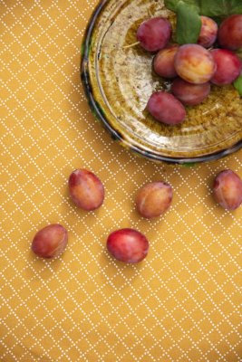 Prickruta, metervara, ockra, 150cm