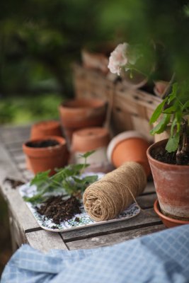 Skogsmedaljong, bricka, blågrön, 27x20cm