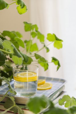 Kristina, bricka, blå, 27x20cm