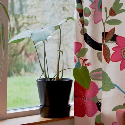 Saga, metervara, 150cm