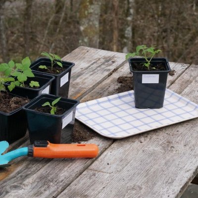 Kristina, vitblå bricka, 27x20cm