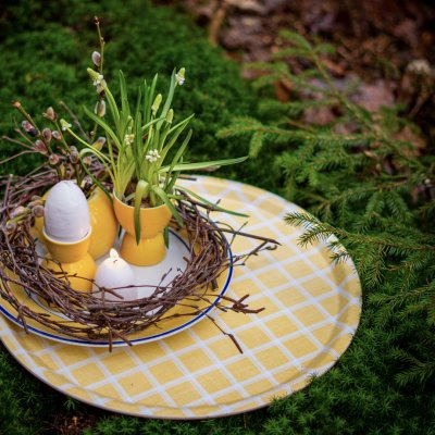 Kristina, bricka, gul