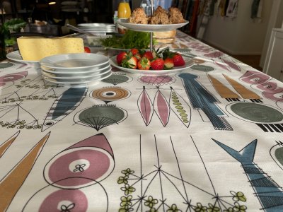 Picknick, vaxduk,145x220cm, blårosa