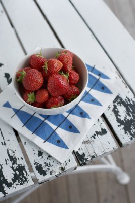 100644-0000Sill, pappersservett, blå